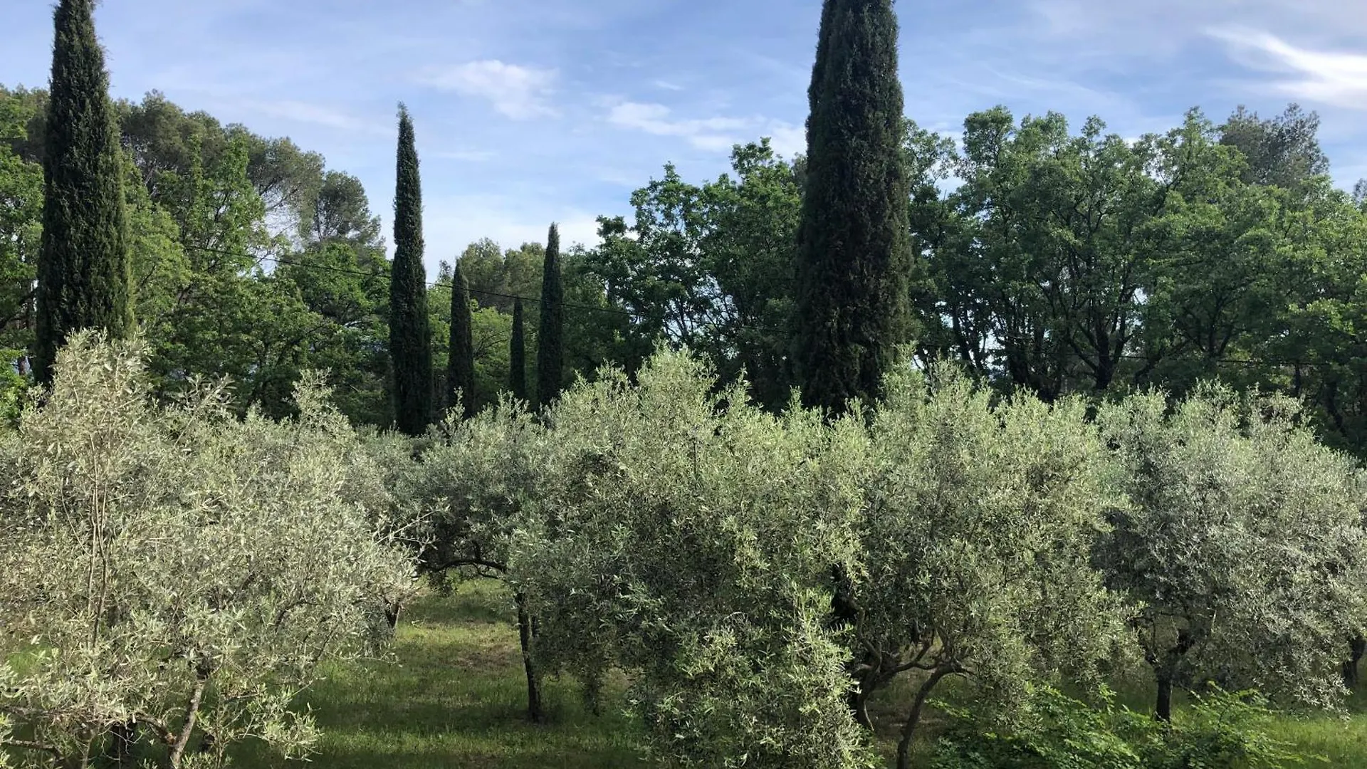 Au Calme Dans La Campagne Aixoise, Entoure De Cypres Villa Aix-en-Provence Holiday home